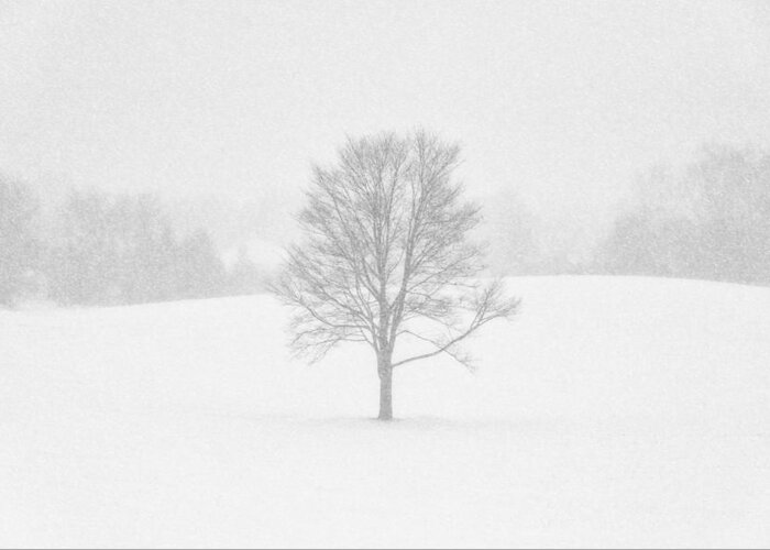 Hartville Greeting Card featuring the photograph Ohio Winter Whiteout 1 by Matt Hammerstein