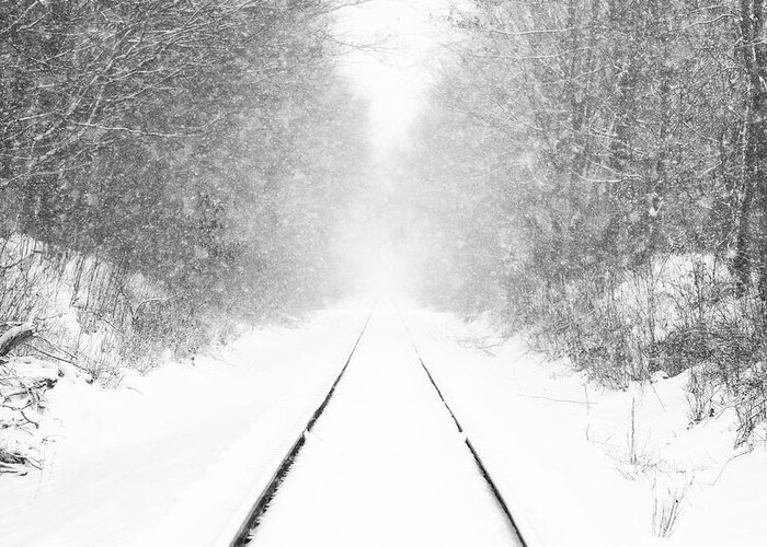 Hartville Greeting Card featuring the photograph Ohio Winter Whiteout 2 by Matt Hammerstein