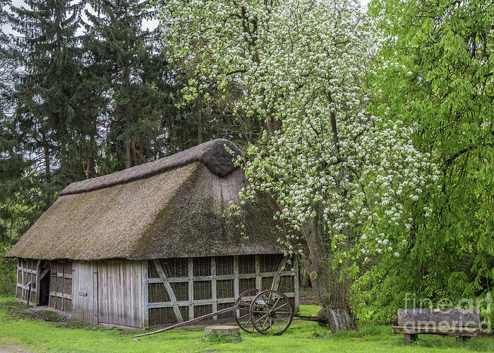 Barn Greeting Card featuring the photograph Old Barn in Spring by Eva Lechner