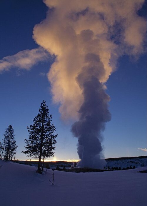 Scenics Greeting Card featuring the photograph Old Faithful Geyser, Yellowstone by Design Pics/natural Selection Anita Weiner