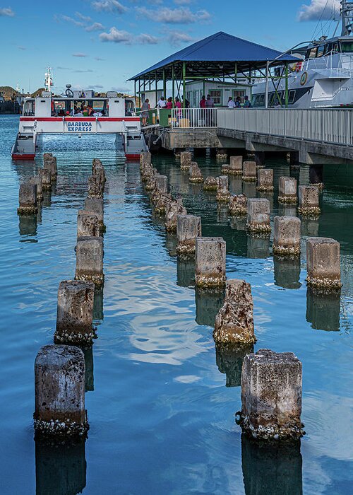 Harbor Greeting Card featuring the photograph Old Pilings into Barbuda Express by Darryl Brooks