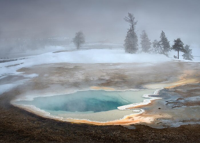 Yellowstone Greeting Card featuring the photograph Open Heart by Shenshen Dou