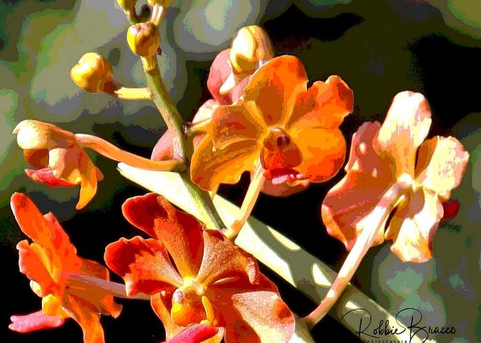 Orange Greeting Card featuring the photograph Orange Phalaenopsis Moth Orchids by Philip And Robbie Bracco