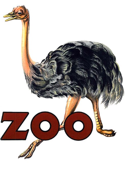 Ostrich Greeting Card featuring the digital art Ostrich Zoo by Long Shot