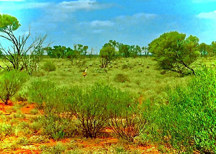 Sam Greeting Card featuring the photograph Outback Hike by Debra Grace Addison