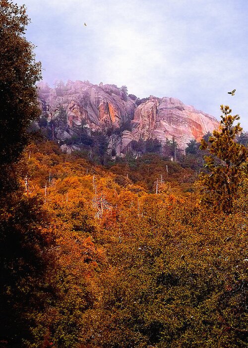 Suicide Rock Greeting Card featuring the photograph Overcast At Suicide Rock - Idyllwild by Glenn McCarthy Art and Photography