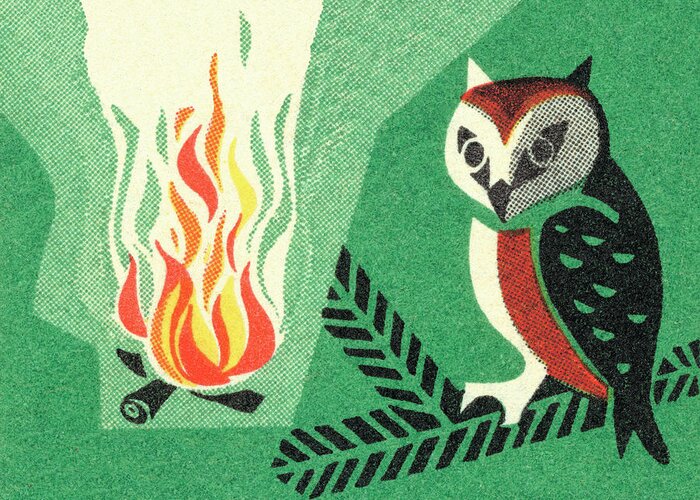 Animal Greeting Card featuring the drawing Owl and campfire by CSA Images