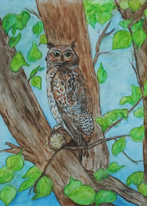 Nature Greeting Card featuring the painting Owl in Our Tree by Vallee Johnson