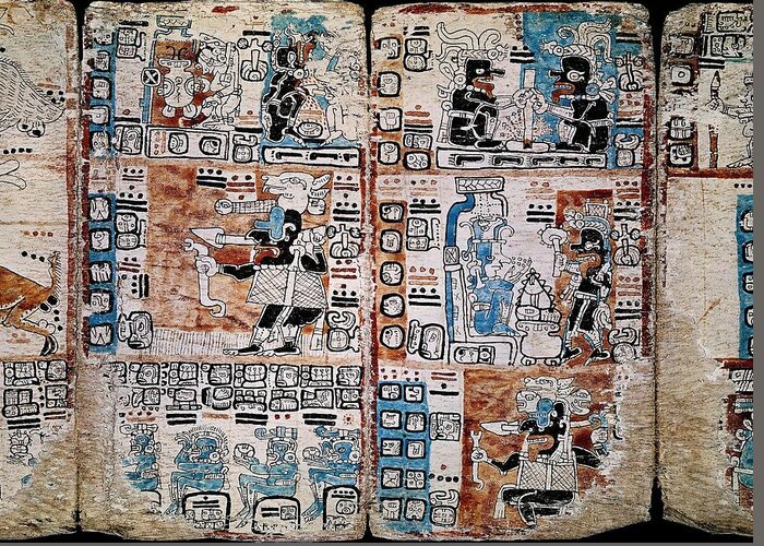 13th Century Greeting Card featuring the drawing Page of the Tro-Cortesianus Codex or Madrid Codex. Mayan Codex. Gods and Men. 13th-15th centuries. by Album