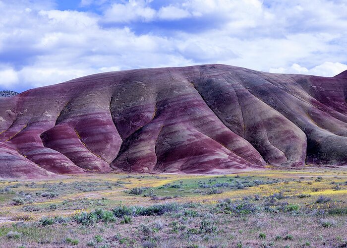 Painted Hills Greeting Card featuring the photograph Painted Hills 5 by Rick Pisio