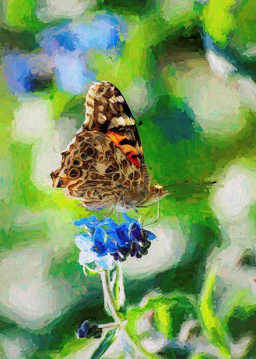 Cosmopolitan Greeting Card featuring the photograph Painted Lady Butterfly Blue Flower by Don Northup