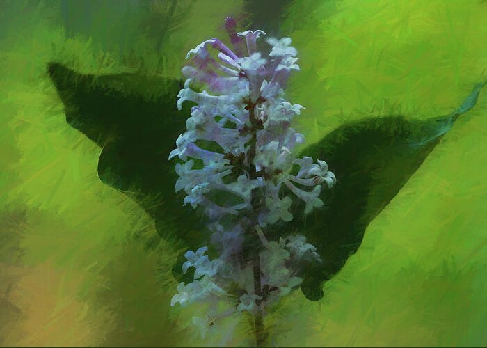 Flowers Greeting Card featuring the photograph Painted Lilac by Cathy Kovarik
