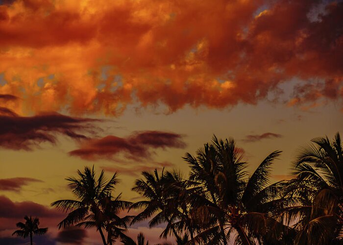 Hawaii Greeting Card featuring the photograph Palms below the Fire Clouds by John Bauer