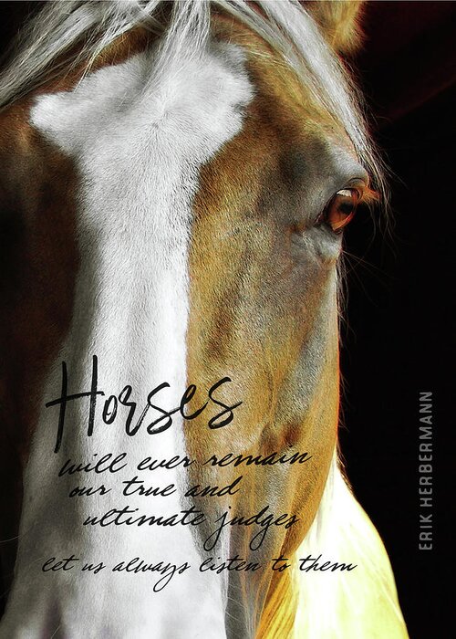 Always Greeting Card featuring the photograph PALOMINO quote by JAMART Photography