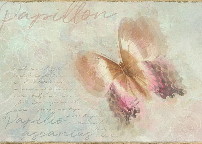 Papillon Butterfly Papilio Ascanius Greeting Card featuring the photograph Papillon Butterfly Papilio Ascanius by Cora Niele