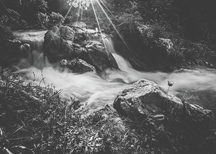 Waterfall Greeting Card featuring the photograph Parod Falls - black and white by Mati Krimerman