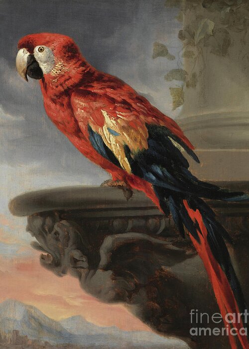 Rubens Greeting Card featuring the painting Parrot by Rubens by Rubens