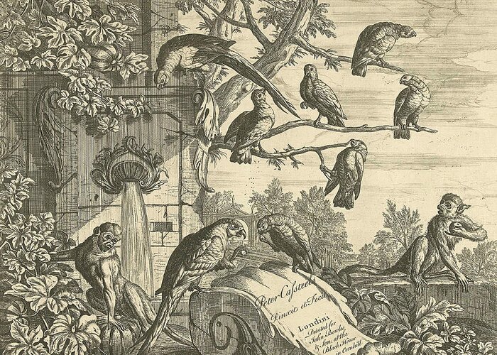 18th Century Art Greeting Card featuring the relief Parrots and Monkeys at a Garden Fountain by Pieter Casteels