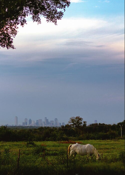 Pasture Greeting Card featuring the photograph Pasture by Peter Hull