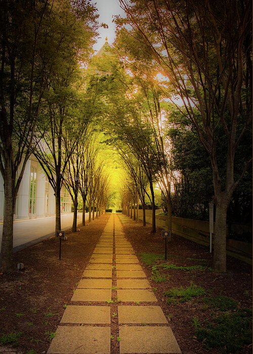 Atlanta Greeting Card featuring the photograph Pathway by Kenny Thomas