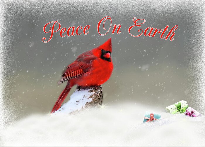 Cardinal Greeting Card featuring the photograph Peace On Earth by Cathy Kovarik