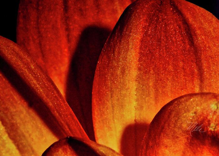 Macro Photography Greeting Card featuring the photograph Peach Petals by Meta Gatschenberger