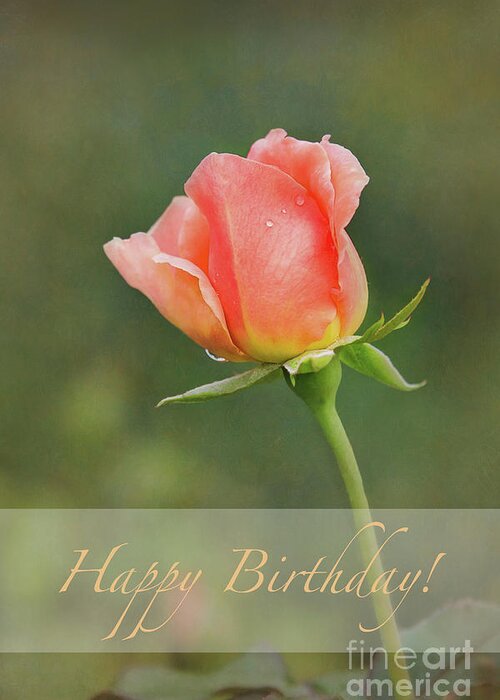 Peach Rose Happy Birthday Greeting Card by Sharon McConnell