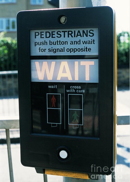 Pedestrian Greeting Card featuring the photograph Pedestrian Crossing Control by Cordelia Molloy/science Photo Library
