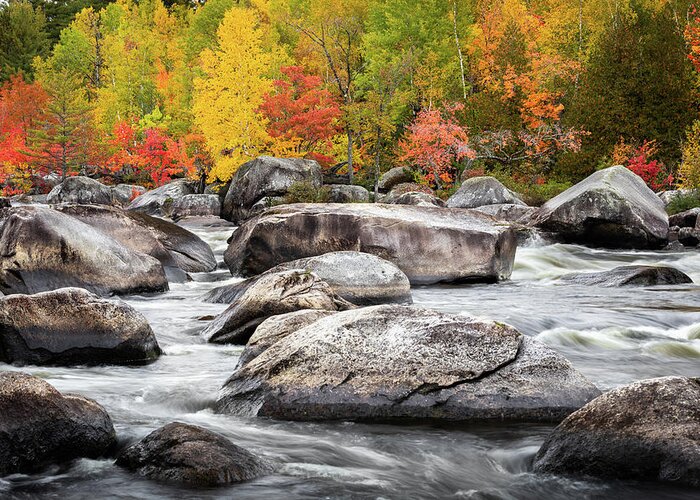  Greeting Card featuring the photograph Penobscot River Autumn by Colin Chase