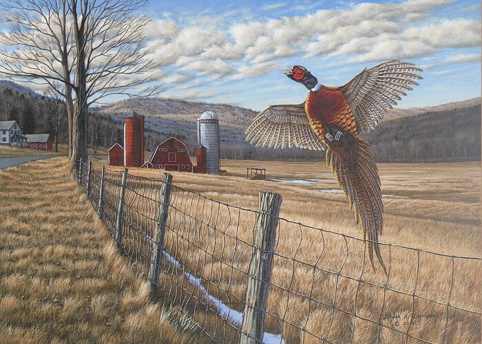 Pheasant Flying Over Farm Fence With Field And Barn In The Background Greeting Card featuring the painting Pheasant by Bruce Dumas
