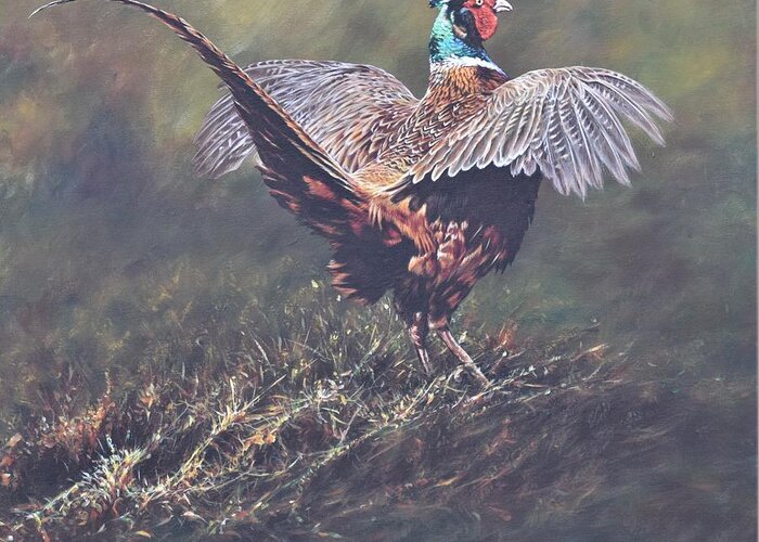 Wildlife Paintings Greeting Card featuring the painting Pheasant Displaying by Alan M Hunt