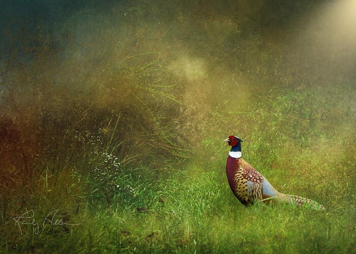 Pheasant Greeting Card featuring the photograph Pheasant by Randall Allen