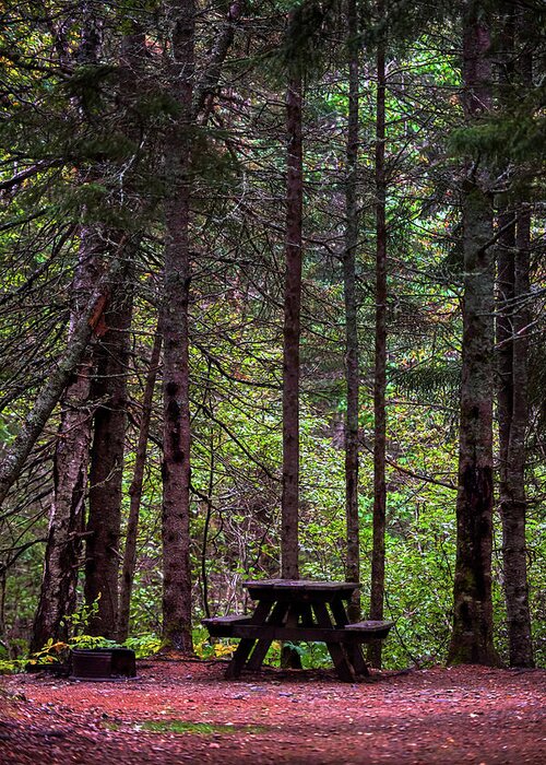 Forest Greeting Card featuring the photograph Picnic Table by Paul Freidlund