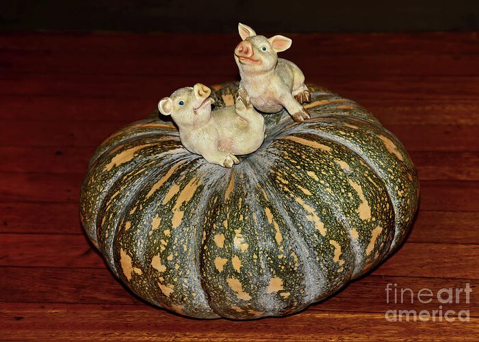 Pigs On Pumpkin Greeting Card featuring the photograph Pigs on Pumpkin by Kaye Menner by Kaye Menner
