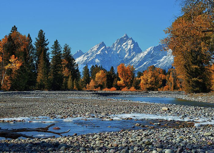 Grand Teton National Park Greeting Card featuring the photograph Pilgrim Creek Autumn by Greg Norrell