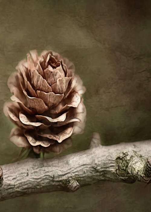 Pinecone Greeting Card featuring the painting Pinecone by Heather Buechel