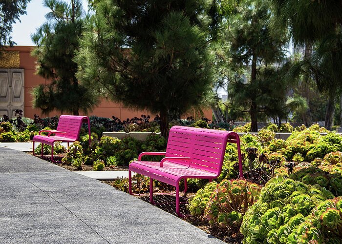 Grand Park Greeting Card featuring the photograph Pink Chairs at Grand Park by Roslyn Wilkins