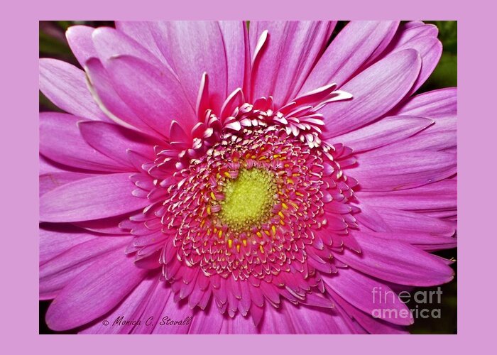 Pink Greeting Card featuring the photograph Pink Flowers P4 by Monica C Stovall
