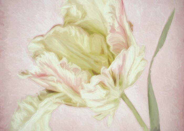 Pink Parrot Tulip Painting I Greeting Card featuring the photograph Pink Parrot Tulip Painting I by Cora Niele