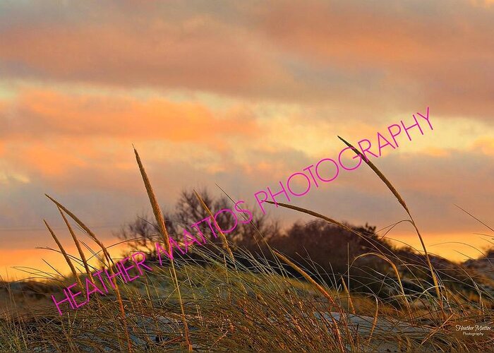 Beach Greeting Card featuring the photograph Pink Sunset by Heather M Photography