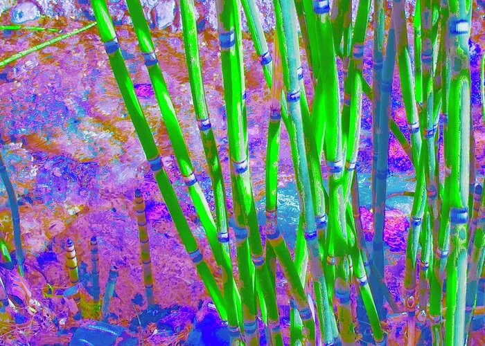Reeds Greeting Card featuring the photograph Pixel Reeds Too by Debra Grace Addison