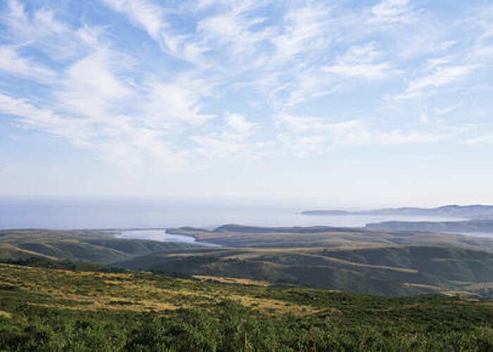 Photography Greeting Card featuring the photograph Point Reyes National Seashore View by Panoramic Images