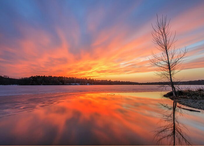 Horn Pond Greeting Card featuring the photograph Pond Ablaze by Rob Davies