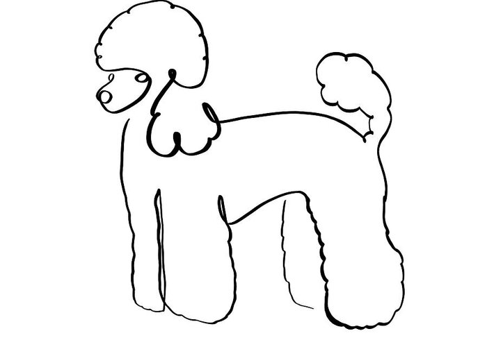 Poodle Greeting Card featuring the digital art Poodle Standing Up by Hugo Edwins