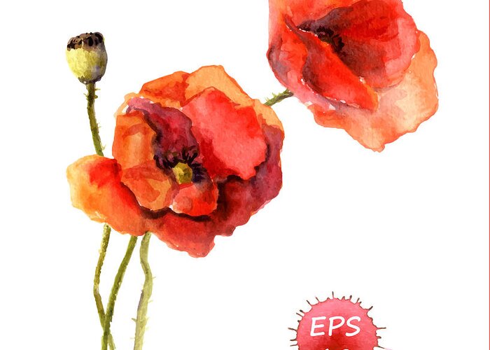 Floral Greeting Card featuring the digital art Poppy Flower Watercolor Vector by Le Panda