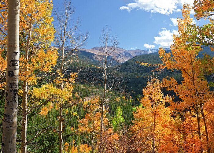 Scenics Greeting Card featuring the photograph Portrait Of Colorado Landscape In Fall by Missing35mm
