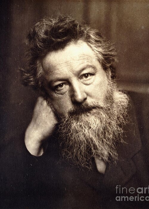 Artist Greeting Card featuring the photograph Portrait Of William Morris, 1886 by English School