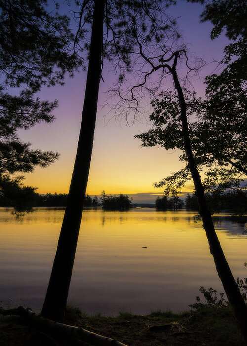 Ludington Greeting Card featuring the photograph Pre Dawn On Lost Lake by Owen Weber