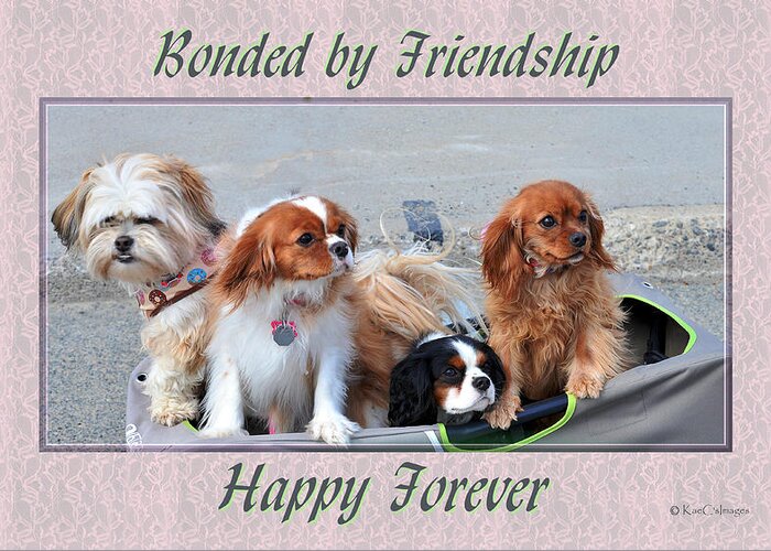 Dogs Greeting Card featuring the photograph Pup Pals by Kae Cheatham