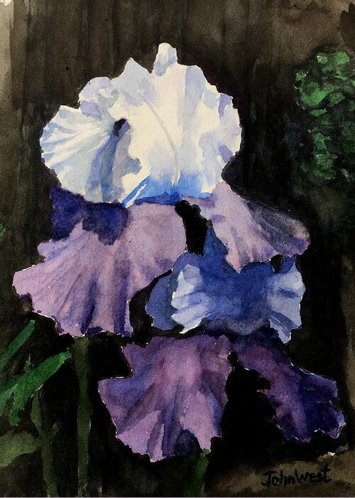 Purple Greeting Card featuring the painting Purple-Blue Iris by John West